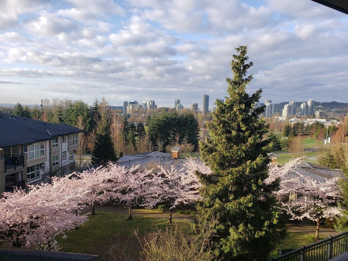 Additional image 2 of 201-3082 Dayanee Springs Boulevard, Coquitlam, BC, V3E 0A3