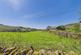 High Green, Windermere LA23 photo 3