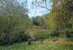 Additional image 3 of Cwm Cadno, Coed Hirwaun SA13