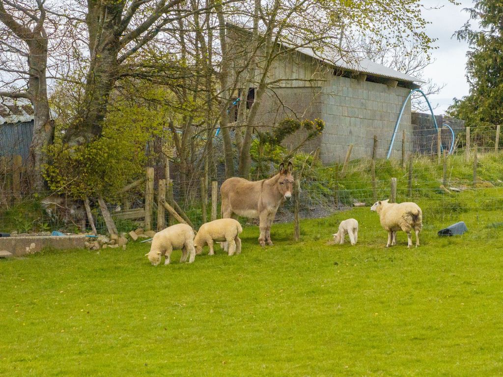 Additional image 74 of 5 bed farm for saleTalgarreg, Llandysul SA44
