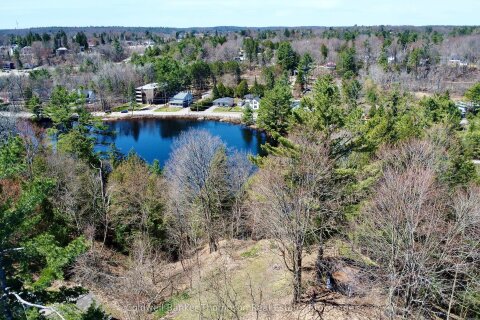 Additional image 8 of Unit B-145 Front Street, Bracebridge, ON, P1L 1J7