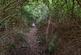 Additional image 3 of Ambleside Avenue, York
