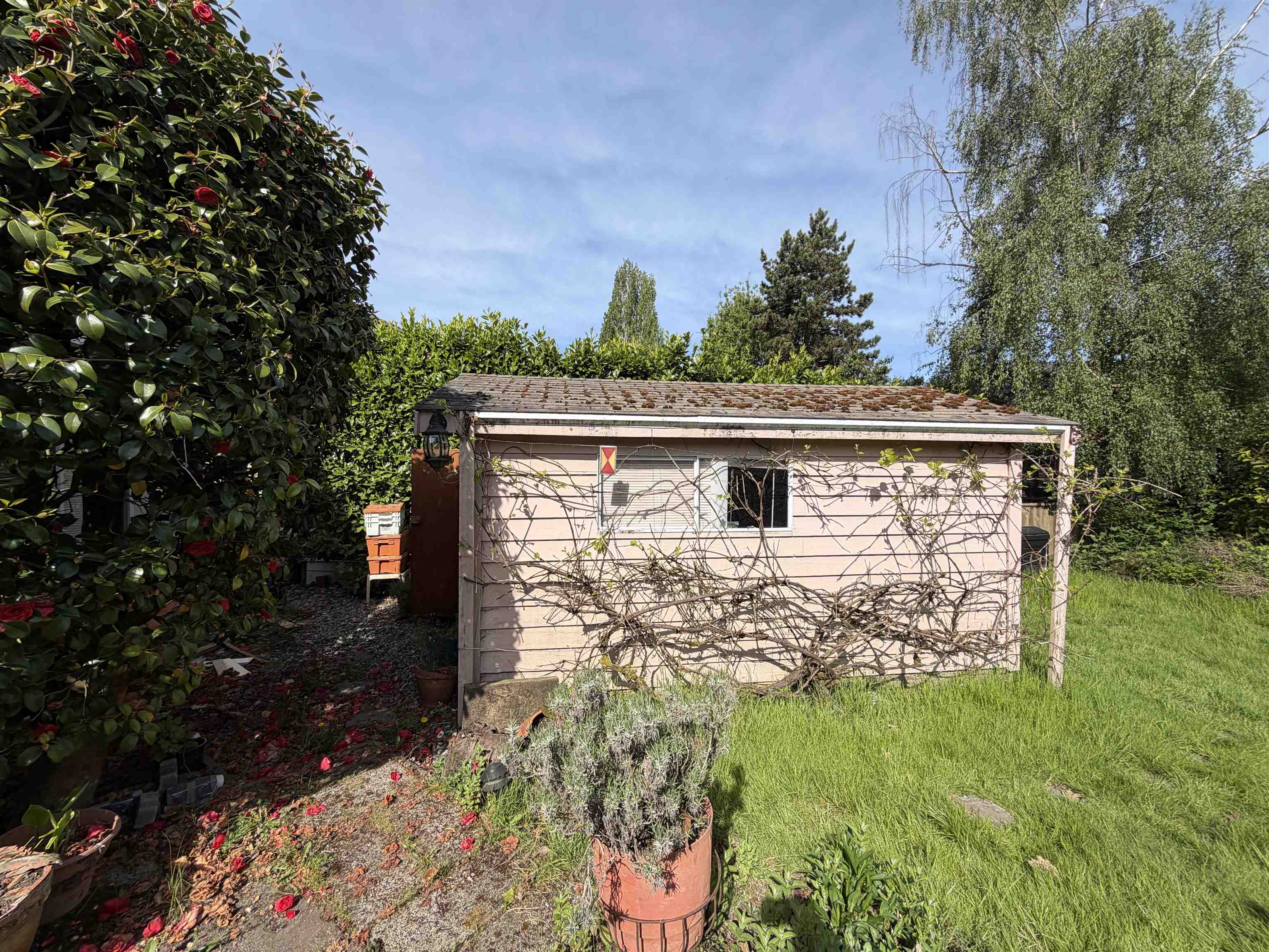 Additional image 5 of 3431 Springford Avenue, Richmond, BC, V7E 1V1