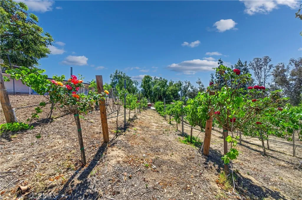 Additional image 53 of 36210 Tonto Ln, Temecula, CA 92592