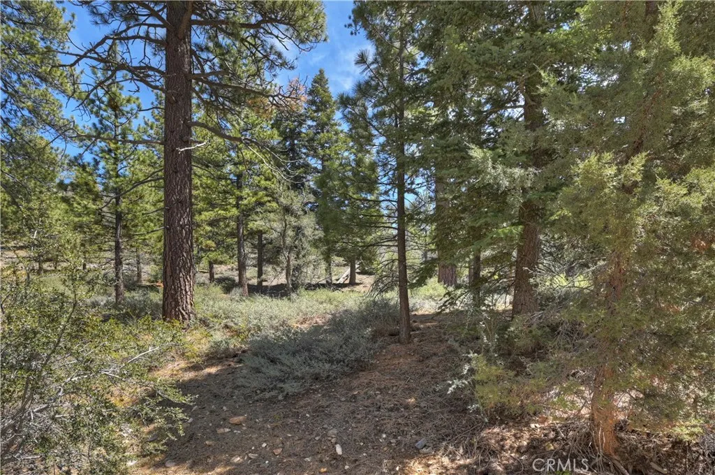 Additional image 44 of 1099 Canyon Rd, Fawnskin, CA 92333