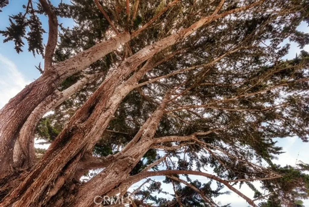 Additional image 17 of 540 Kern Avenue, Morro Bay, CA 93442