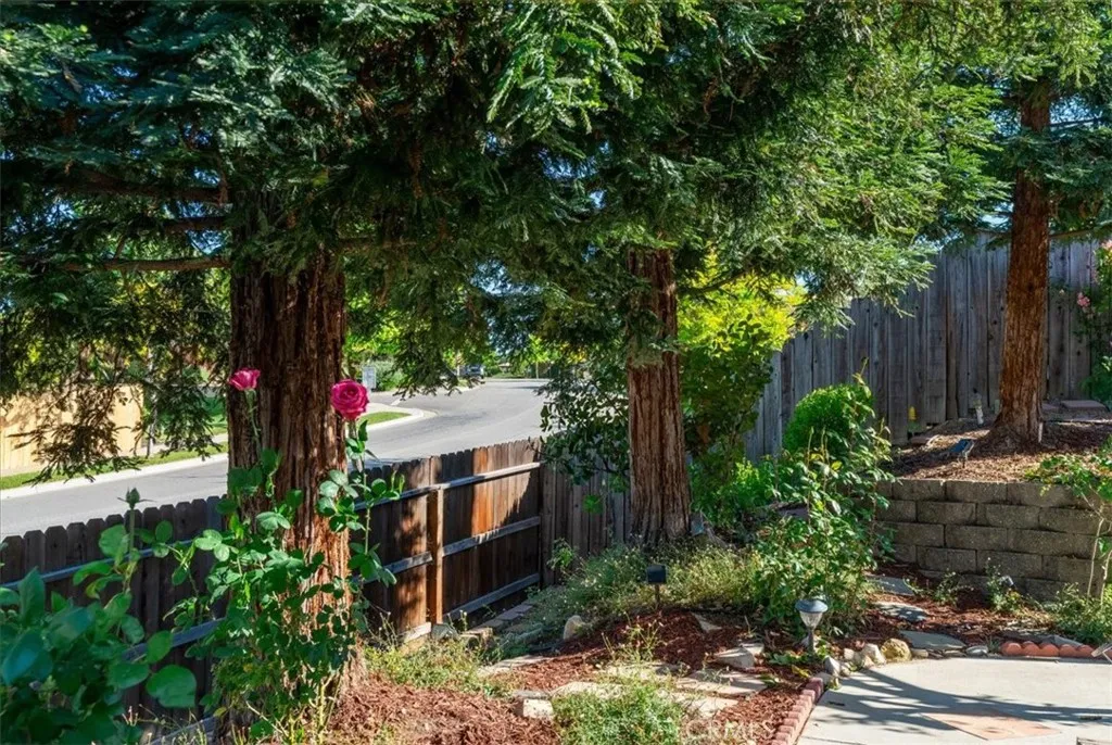 Additional image 135 of 322 Montebello Oaks Dr, Paso Robles, CA 93446