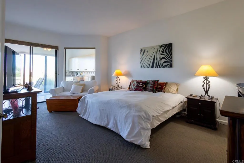 Additional image 83 of 4803 Desert Vista Drive, Borrego Springs, CA 92004
