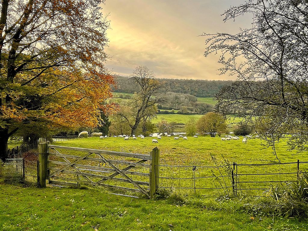 Additional image 20 of 3 bed semi-detached house for saleWarleigh Manor, Warleigh, Bath BA1