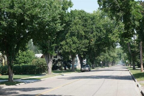 Additional image 8 of 3512 43 Avenue, Red Deer, AB, T4N 3B4