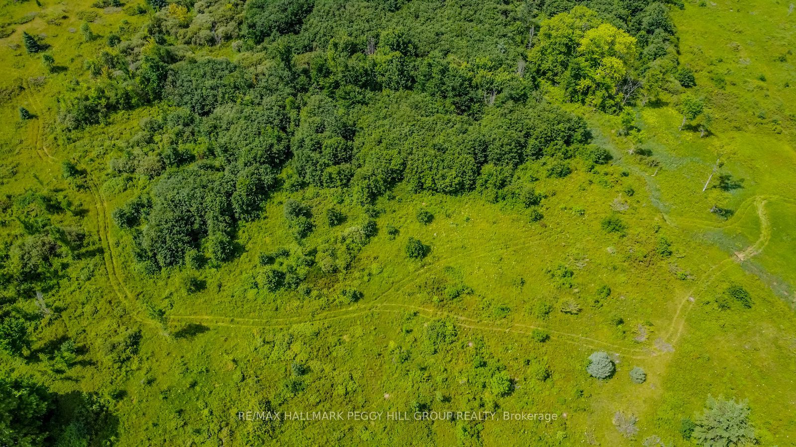 Additional image 3 of Lot 5 Concession 5 N/a, Kawartha Lakes, ON, K0M 2B0