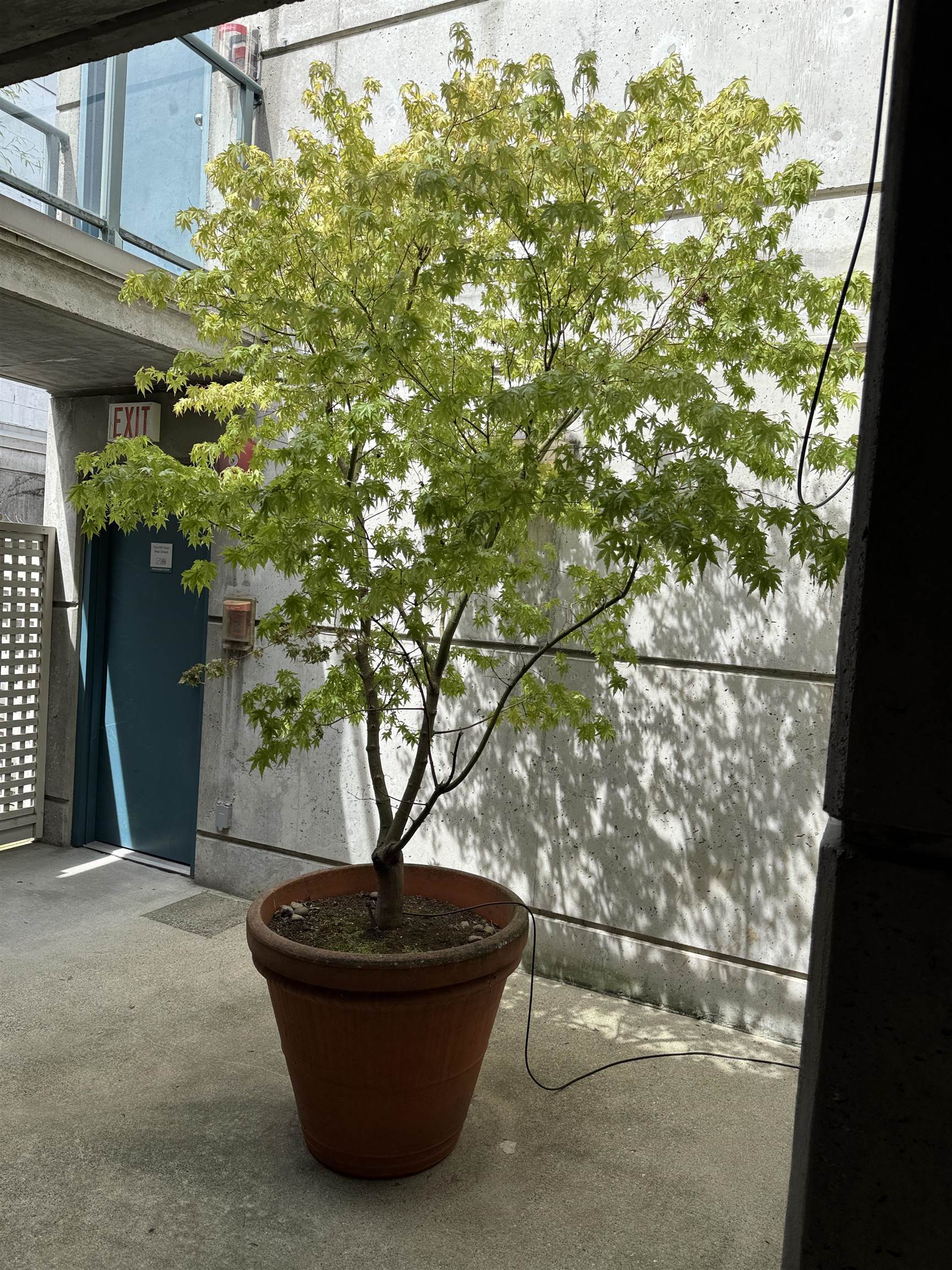 Additional image 6 of 311-1630 1st Avenue W, Vancouver, BC, V6J 1G1