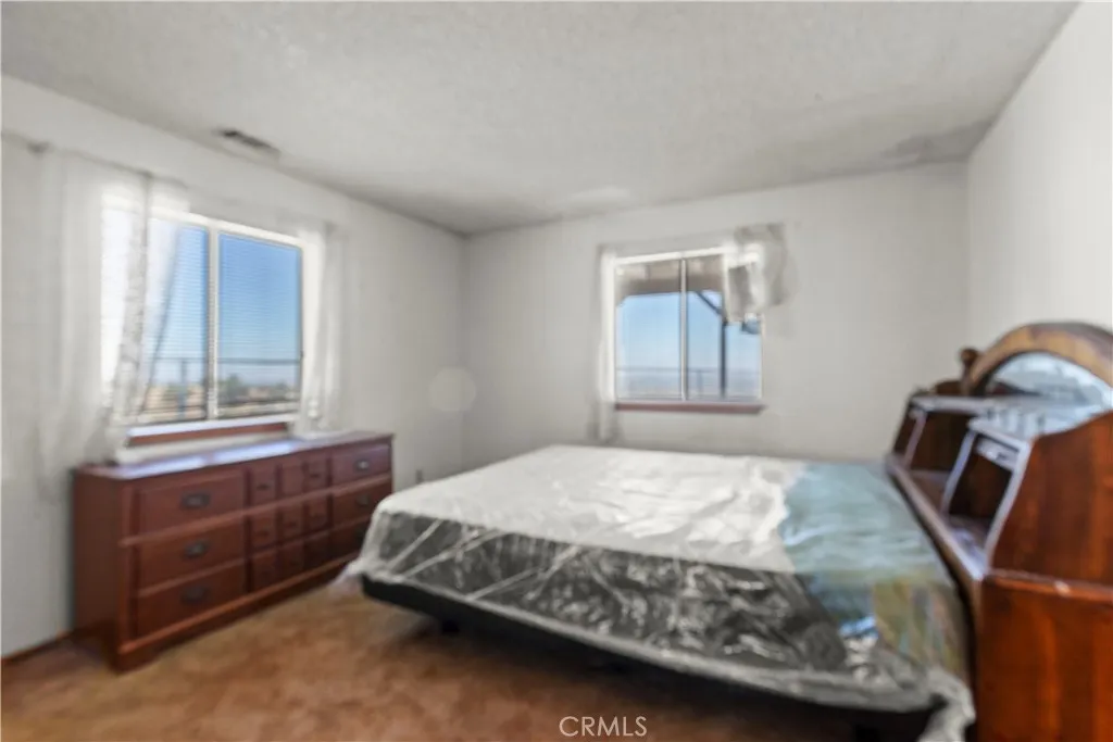 Additional image 64 of 8451 Zohra Canyon Rd, Pinon Hills, CA 92372