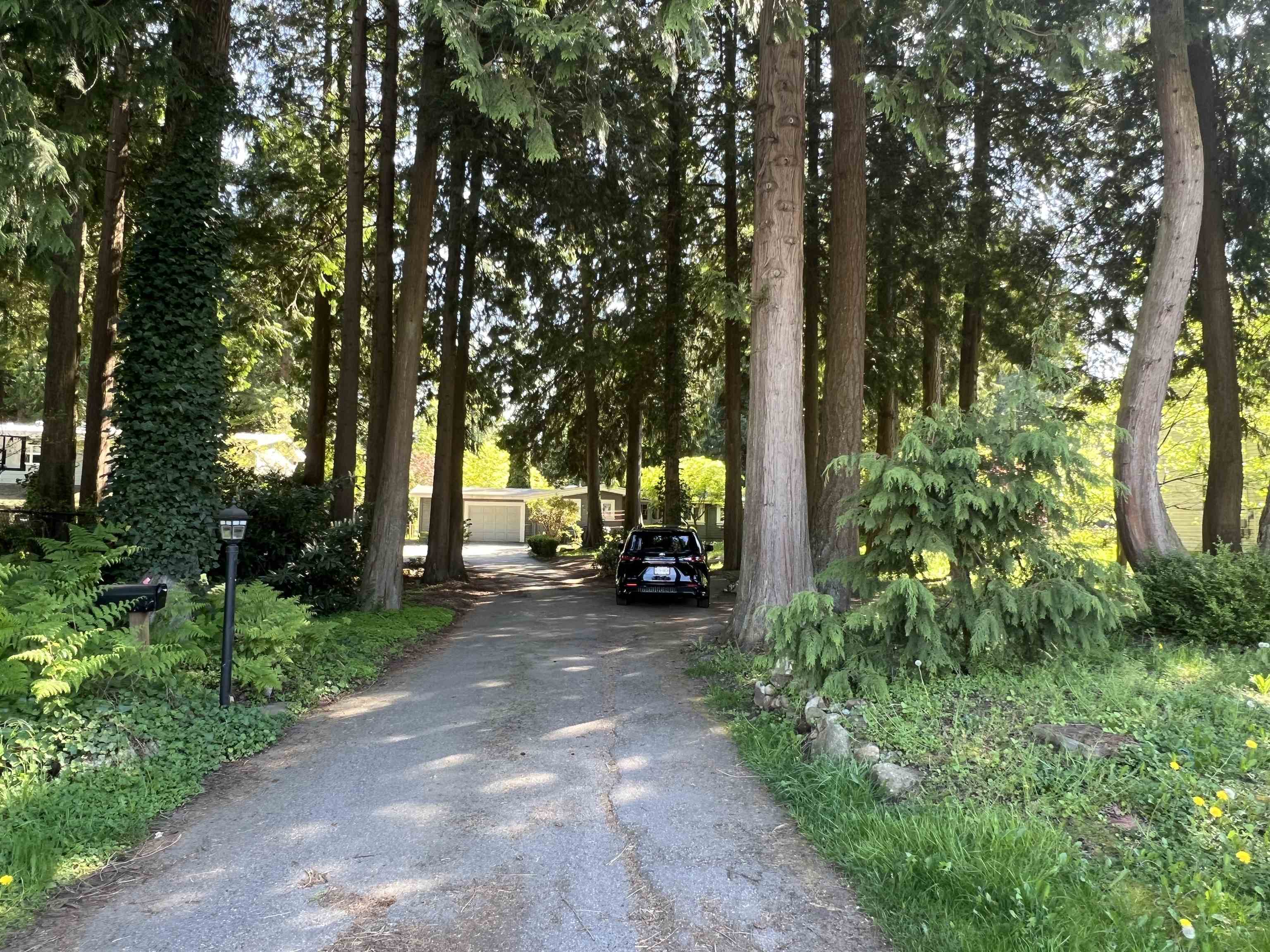 12564 24 Avenue, Surrey, BC, V4A 2E4
