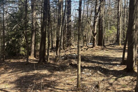 Additional image 8 of 0 Kirkpatrick Lane, Bracebridge, ON, P1L 1X3