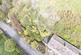 Additional image 4 of Dam Hill, Shelley, Huddersfield