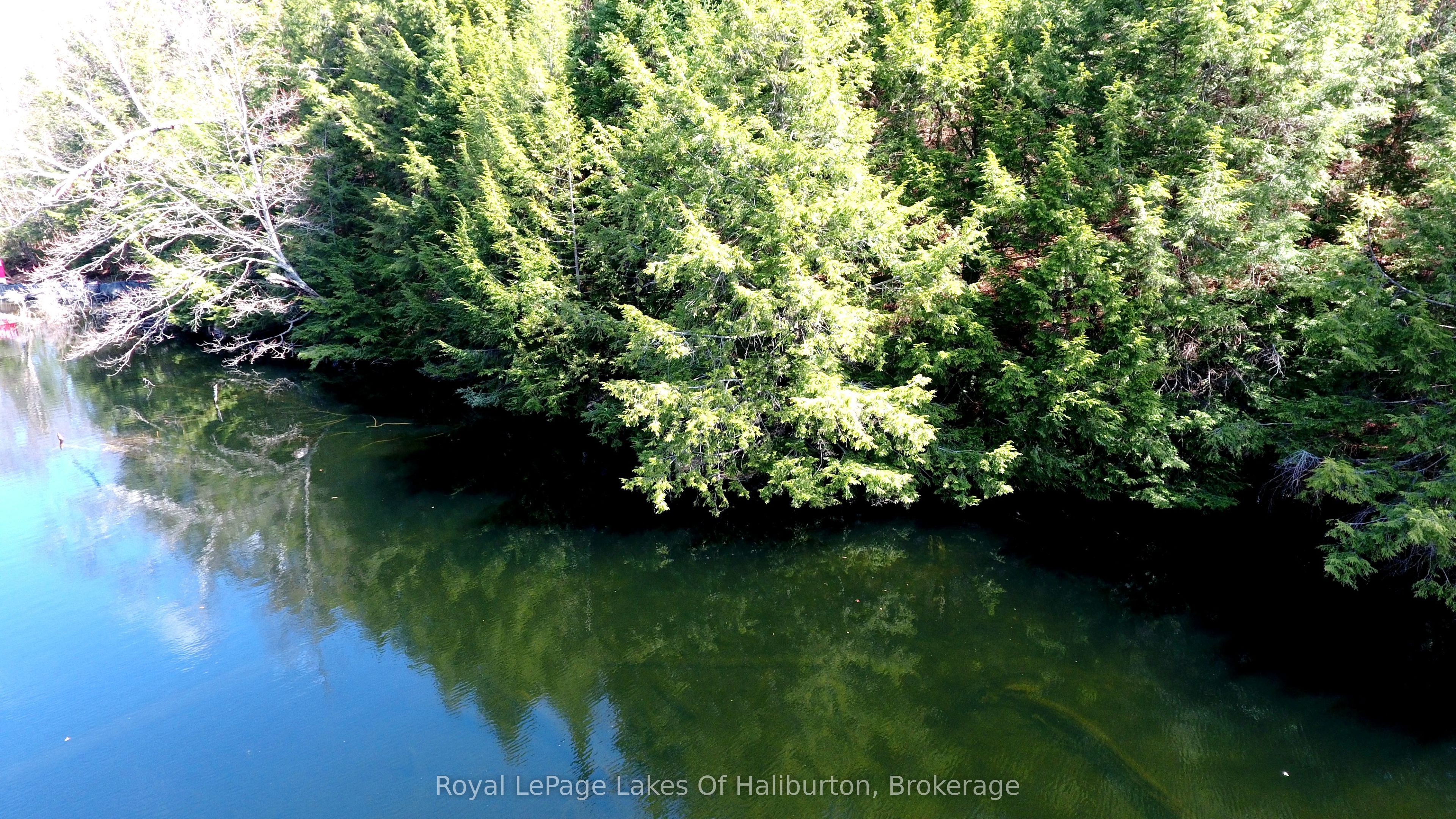 Additional image 3 of 1143 Esson Creek Lane, Highlands East, ON, K0L 2Y0
