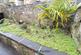 Additional image 33 of Queens Court, Walbottle, Newcastle Upon Tyne