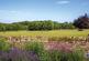 Additional image 13 of Great Rollright, Nr Chipping Norton, Oxfordshire., OX7