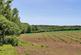 Additional image 10 of Staplecross, Robertsbridge, East Sussex, TN32