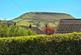 Additional image 23 of Moss Close, Helmshore, Rossendale, BB4