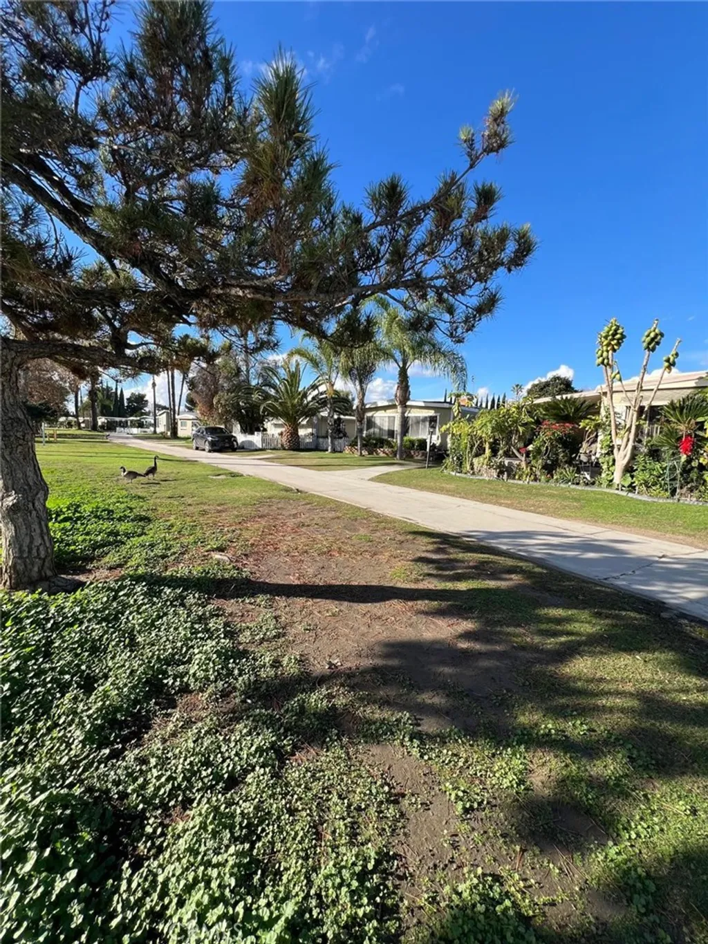 Additional image 16 of 5800 Hamner Ave Unit 387, Eastvale, CA 91752