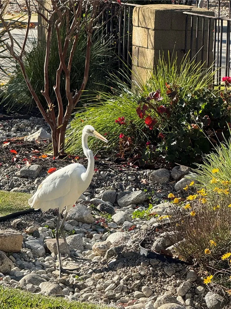 Additional image 110 of 5909 Old Wheeler Rd, La Verne, CA 91750