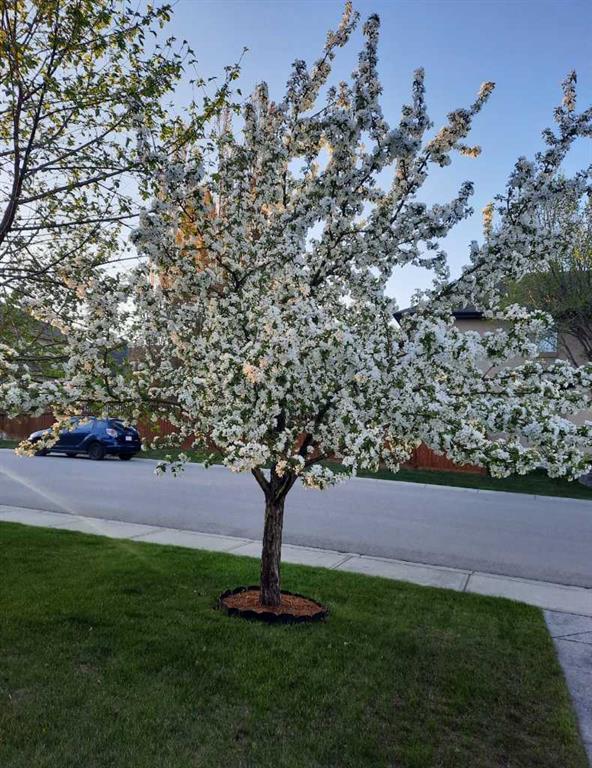Additional image 3 of 143 Cranleigh Gardens SE, Calgary, AB, T3M 1C7