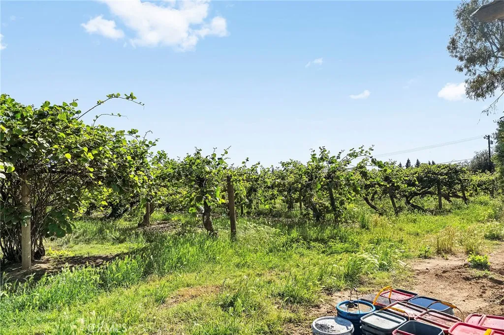 Additional image 34 of 318 Obrien Ave, Gridley, CA 95948