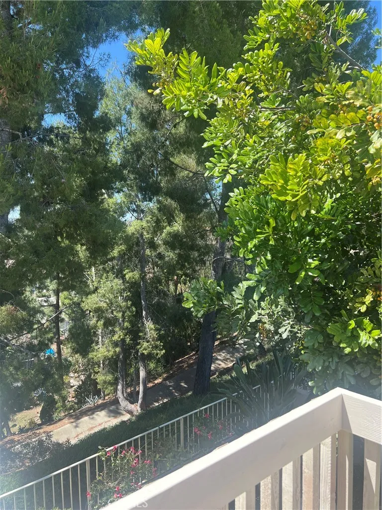 Additional image 76 of 24291 Toponas Court, Laguna Niguel, CA 92677