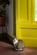 Additional image 24 of Minet Road, London SW9