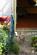 Additional image 16 of Minet Road, London SW9