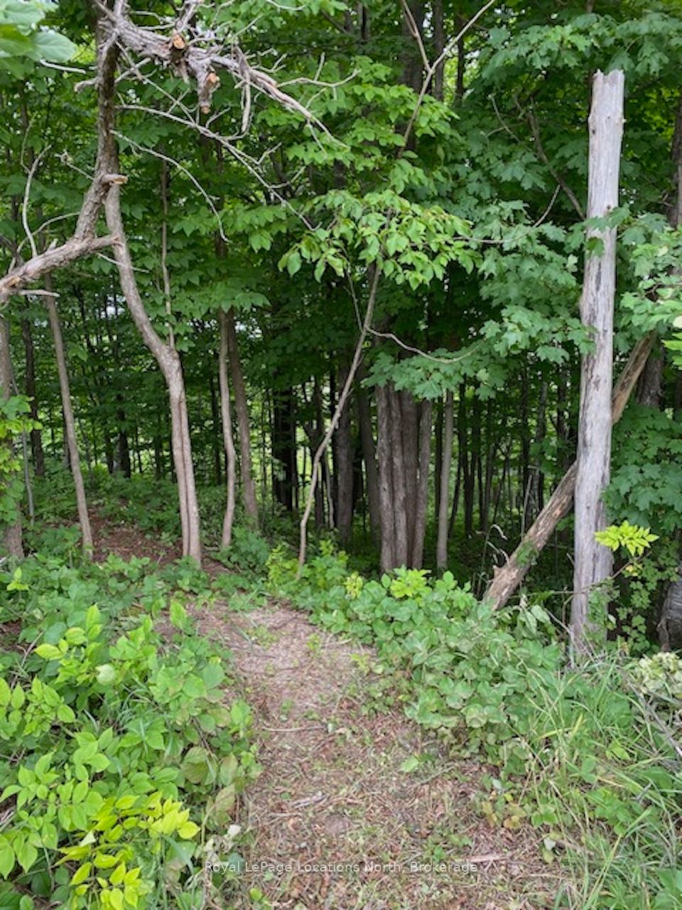 Additional image 5 of PTLT 40 12 Concession, Blue Mountains, ON, N0H 2P0