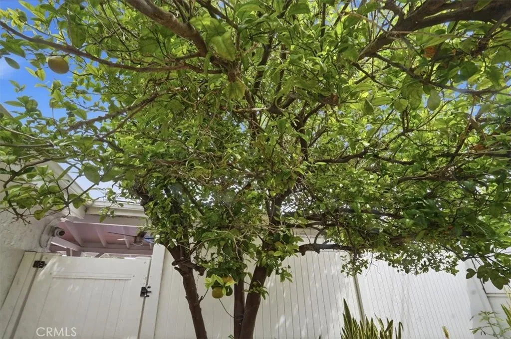 Additional image 53 of 11222 Wakefield Ave, Garden Grove, CA 92840