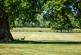 Additional image 21 of Barkham Street, Barkham, Wokingham, Berkshire, RG40