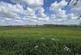 Additional image 22 of Nursery Lane, Holwell