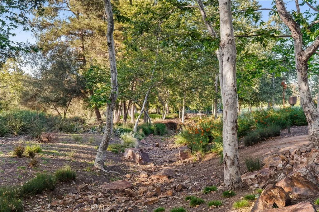Additional image 53 of 24891 Lirio, Mission Viejo, CA 92692