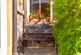 Additional image 25 of 33 Briarbank Terrace, Shandon, Edinburgh, EH11 1SU