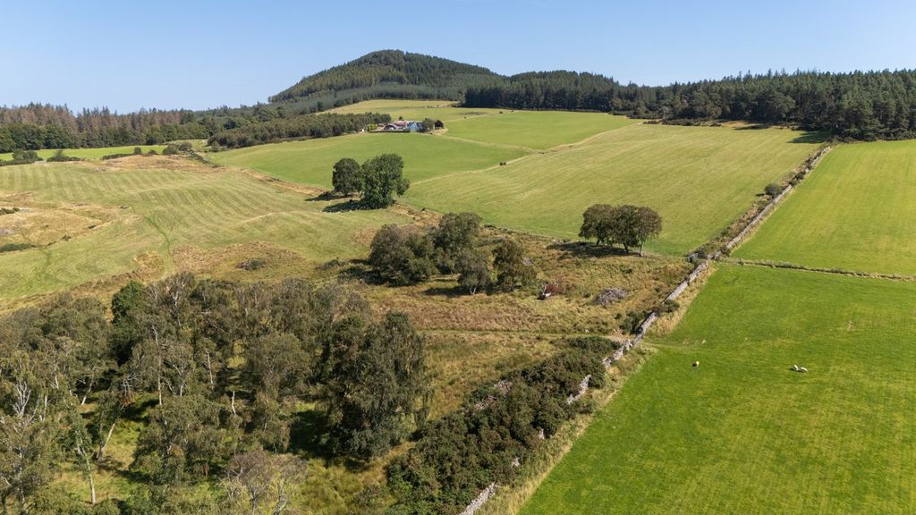 Additional image 7 of Land for saleLot 2 - Wester Moy Farm, Muir Of Ord, Ross-Shire IV6
