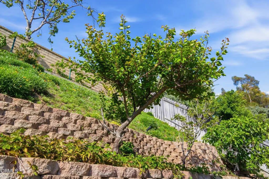 Additional image 121 of 5229 Hillridge Drive, Camarillo, CA 93012