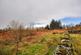 Additional image 17 of Newton Stewart, DG8