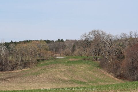 Additional image 7 of 00 Riley Road, Cramahe, ON, K0K 1M0