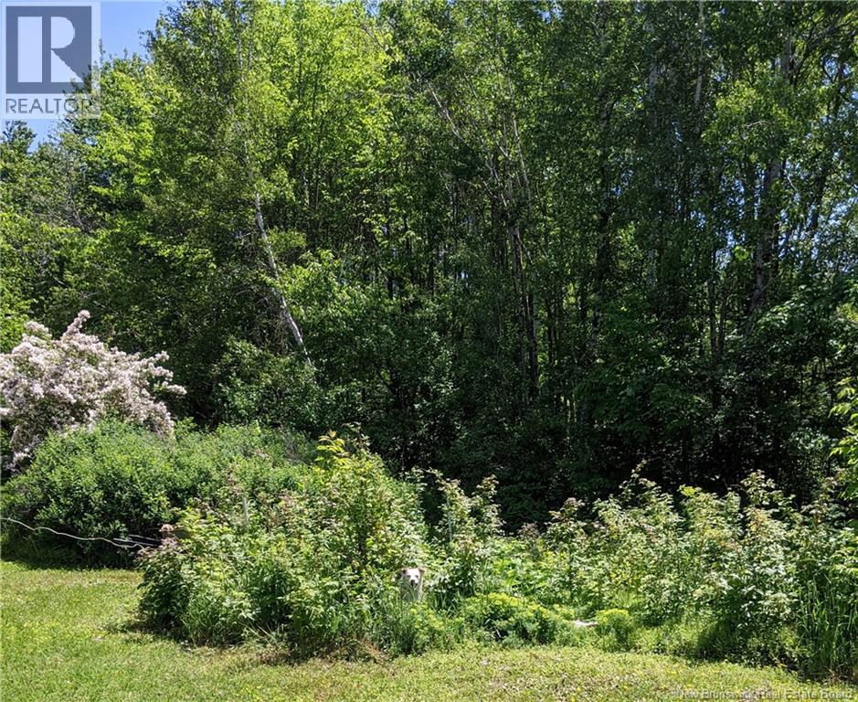289 Cedar Street, Moncton, NB, E1C7L7 photo 3
