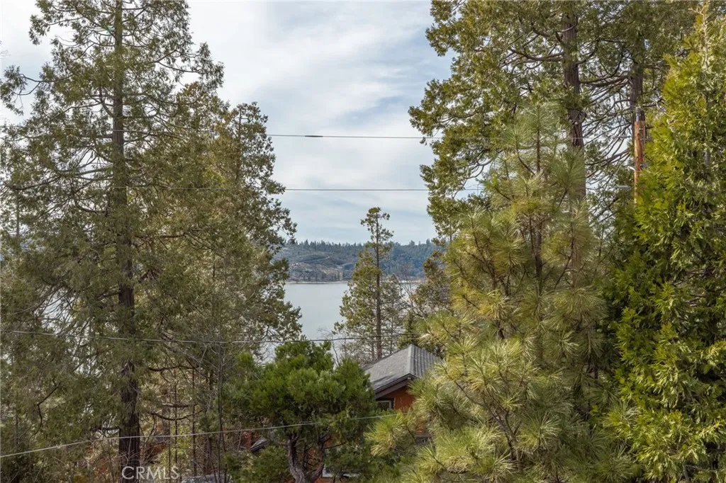 39173 Ski Slope Dr, Bass Lake, CA 93604