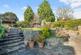 Additional image 30 of Rose Bushes, Epsom