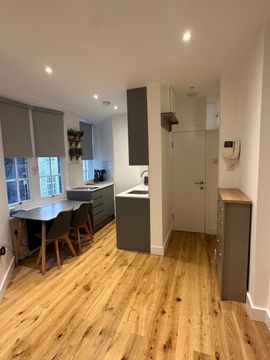Hunter Street, Bloomsbury WC1N, Studio to rent