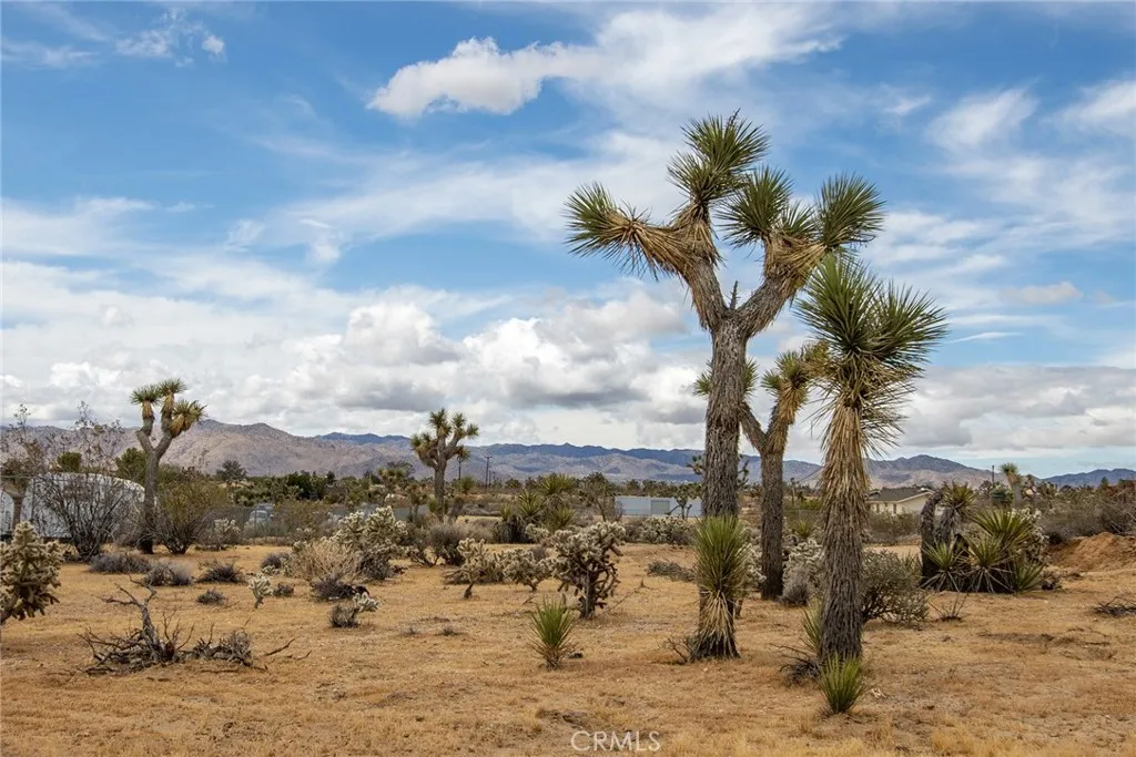 Additional image 13 of 59423 Canterbury Street, Yucca Valley, CA 92284