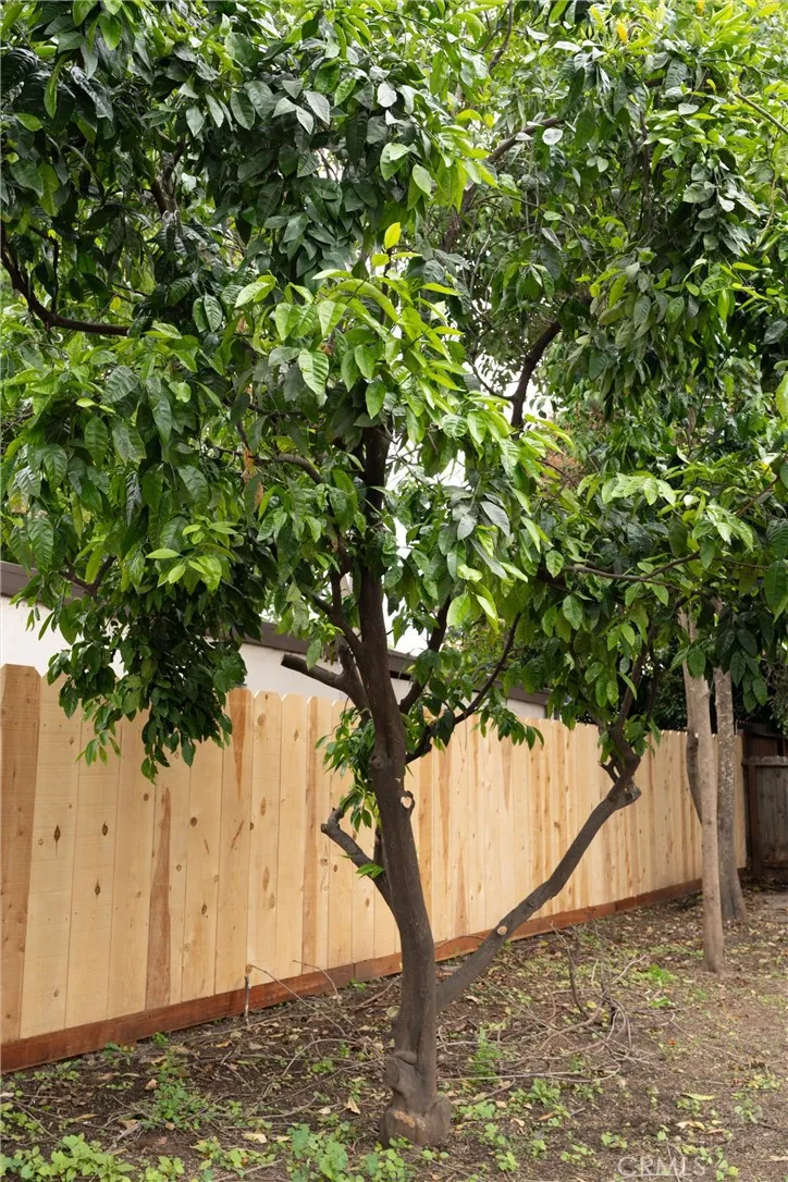 Additional image 70 of 111 Macdonald Ave, Chico, CA 95926