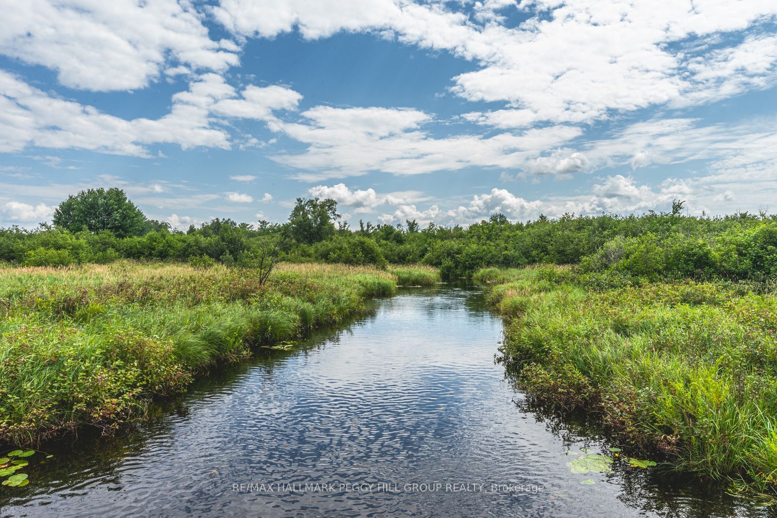 Additional image 6 of Lot 5 Concession 5 N/a, Kawartha Lakes, ON, K0M 2B0