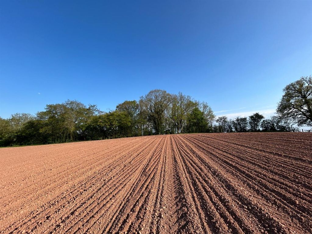 Additional image 11 of Farm for saleLand At Withington, Near Preston Wynne, Hereford HR1
